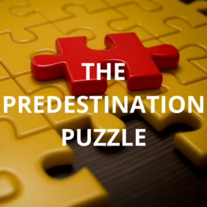 The Predestination Puzzle