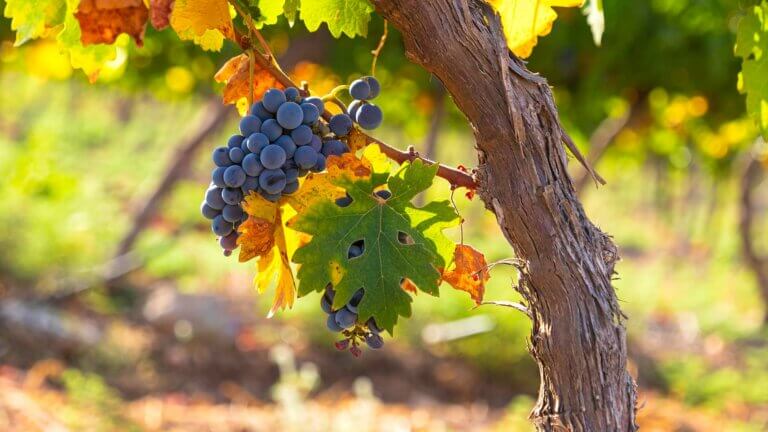 You’re not getting closer to God. You’re already one.