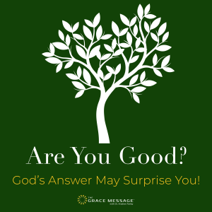 Are You Good Sermon Series Graphic V2